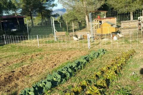 Landejendom i Ginestar, Tarragona, Ginestar - € 185.000 | Ref: CC824 - foto 29